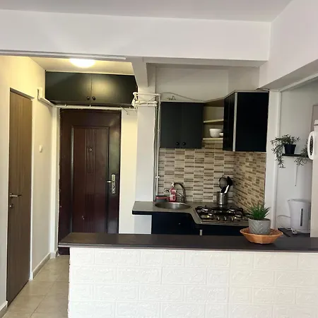 Ultracentral Studio Appartement Bucarest